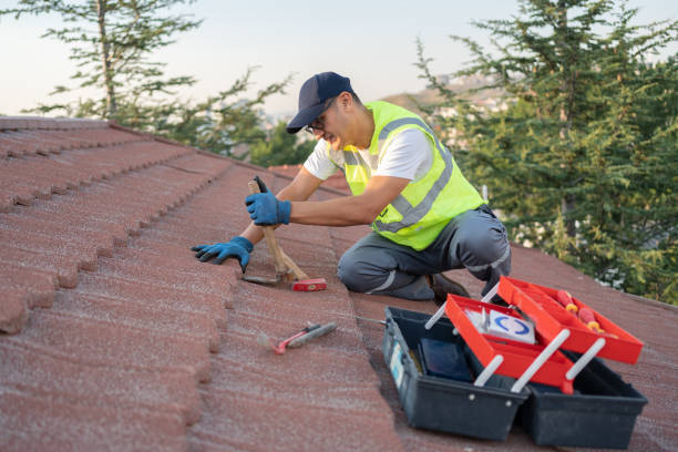 Quick and Trustworthy Emergency Roof Repair Services in Edinburg, TX